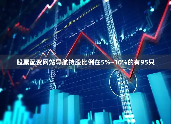 股票配资网站导航持股比例在5%~10%的有95只