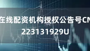 在线配资机构授权公告号CN223131929U
